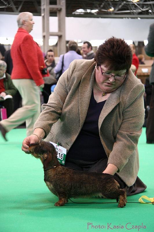 Crufts2011_2 1126.jpg